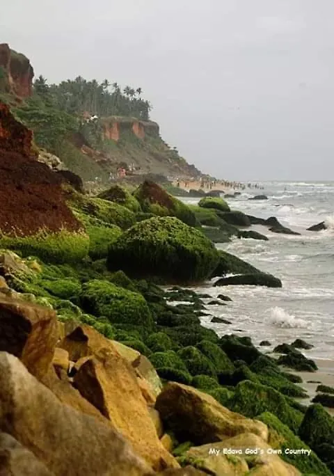 Sea Splendour Beach Resort 瓦尔卡拉 民宿